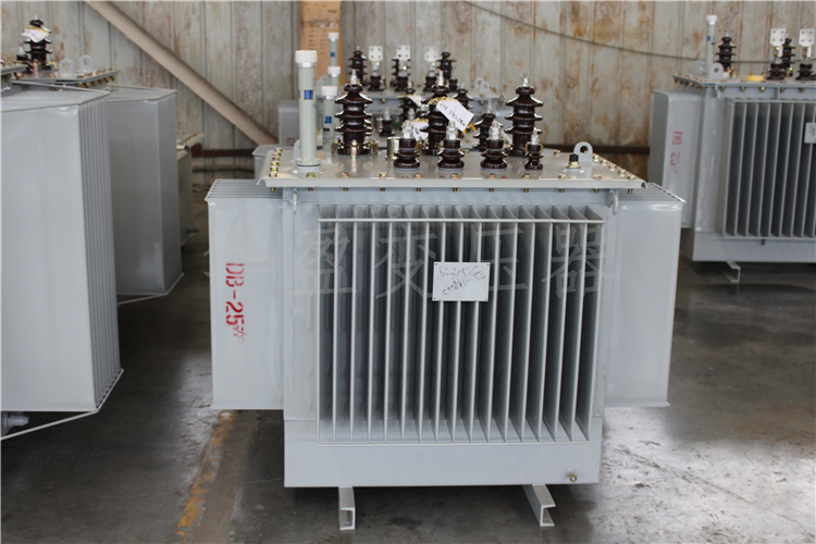 怀化S20-800kVA/10kV/0.4kV变压器